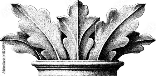 Corinthian acanthus leaf capital fragment dotwork design for architecture and art projects