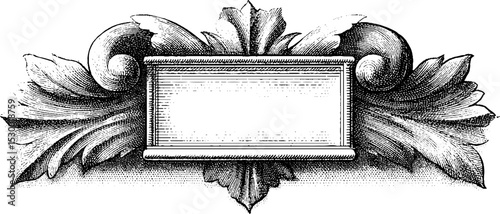 Ornate rococo scrolls on decorative picture frame for elegant display