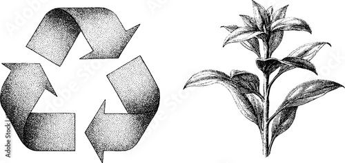 Environmentalist concepts of recycling and growth with symbol and plant illustration