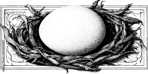 Dotwork tattoo style illustration of fresh egg in nest