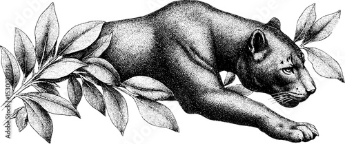 Jaguar in crouch profile among leaves dotwork design for tattoo inspiration