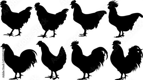 "Minimalist, black-only chicken and rooster silhouettes displayed in various sizes and poses, with spacing and clean composition, shown from a flat side-view perspective."