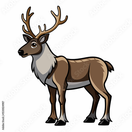 Caribou Illustration with a White Background Vector Design Featuring Wildlife Nature and a Simple Clean Aesthetic