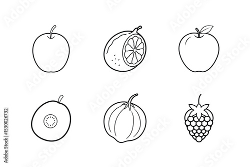 Fruits line art set with assorted tropical and seasonal items vector illustration.