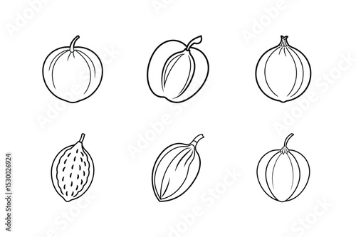 Fruits collection in line art style including exotic and native types vector illustration.