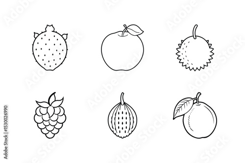 Fruit outline set in artistic hand drawn style for décor use vector illustration.