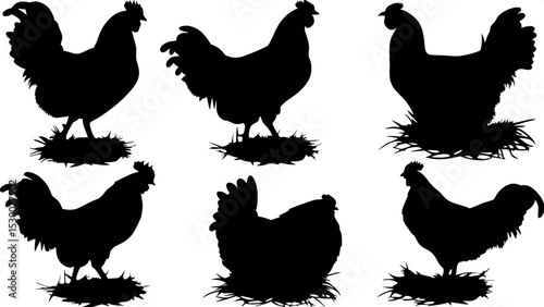 "Flat silhouettes of chickens and roosters in natural stances, some in nests, all black on white, designed with clarity and consistent spacing for print or digital resources."