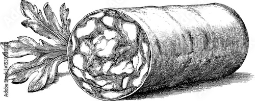 Marbled salami slice with dotwork style and intricate organic detail for culinary design