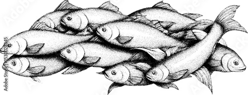 Intricate dotwork art of swirling fish school pattern for oceanic design