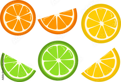 Vector set of citrus slices with lemon, orange and lime in round and wedge shapes on transparent background.