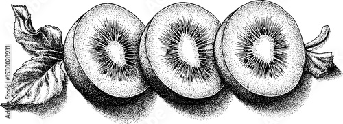 Dotwork tattoo style illustration of sliced kiwi fruit with seeds for artistic design