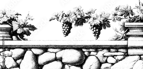 Sunlit vineyard terrace with grapevine and stone wall art for wine lovers