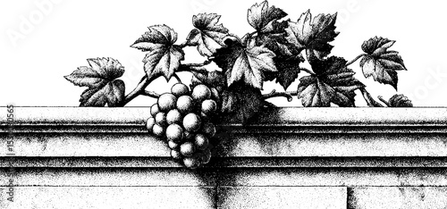 Sunlit vineyard terrace with stone wall and grapes for wine-themed design