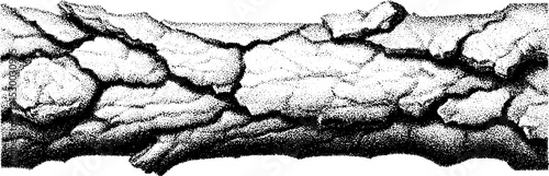 Tree bark texture with fissured ridges dotwork for tattoo design