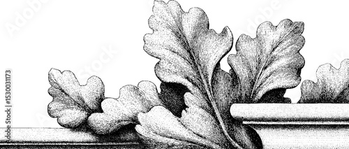 Velvet folds with subtle shading and dotwork in botanical design