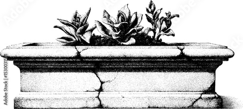 Vintage stone trough repurposed as planter with dotwork design for garden decor and landscaping