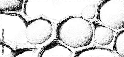 Intricate voronoi cell mosaic with varied cell sizes in dotwork design