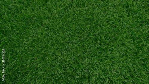 Wallpaper Mural Close-up view of vibrant green grass texture. Torontodigital.ca