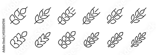 Grain icons. Wheat ear icon set. Gluten symbol. Vector