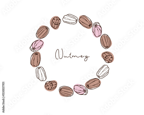 Round Nutmeg Frame, Wreath. Doodle Nutmeg vector illustration with inscription. Seasoning for food, drinks. Organic product sketch for packaging, sale, shop sign. Flavor cooking ingredient.