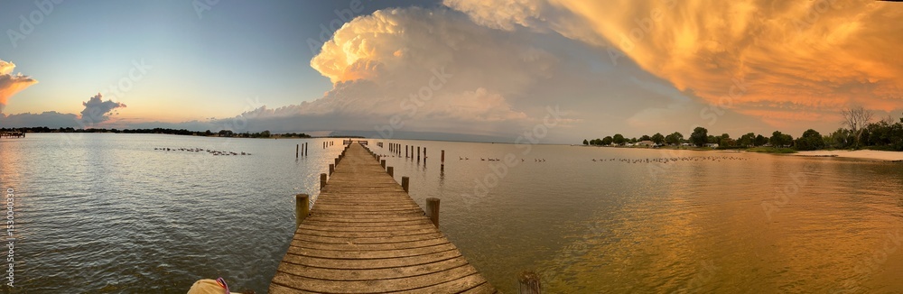 Fototapeta premium boardwalk view