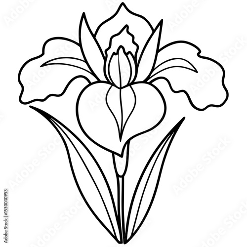 Minimal Iris Vector on White