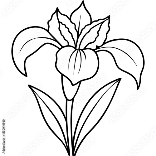 Minimal Iris Vector on White