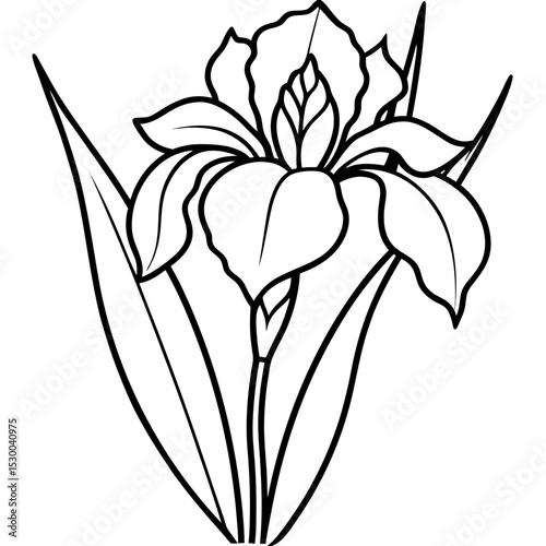 Minimal Iris Vector on White