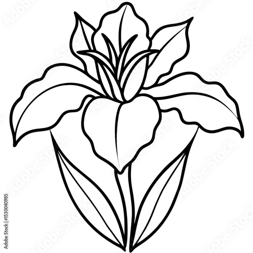 Minimal Iris Vector on White