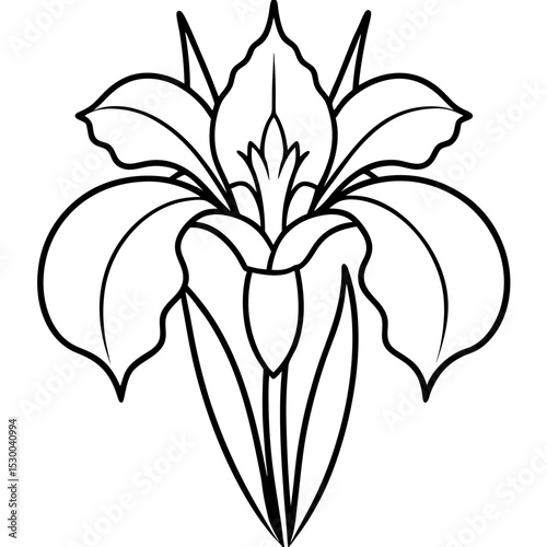 Minimal Iris Vector on White