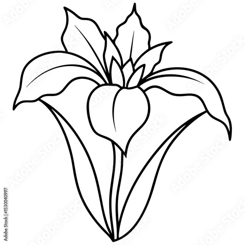 Minimal Iris Vector on White