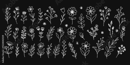 Spring white pencil botanical illustration with hand-drawn wildflowers