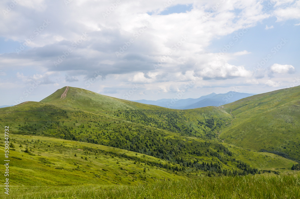 Obraz premium Vast green mountain landscape showcasing gentle hills and valleys under serene partly cloudy sky, perfect for depicting nature's tranquility, beauty, and open wilderness. Carpathian Mountains, Ukraine