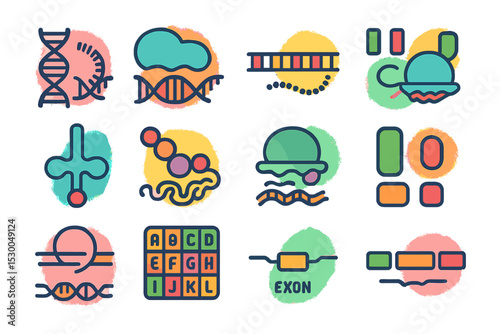Colorful genetic icons illustrating dna and rna structures