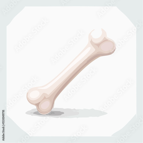 Vector Illustration of a Single Bone, Isolated on White Background