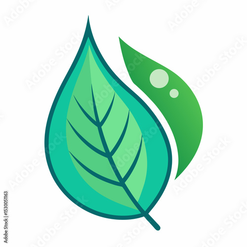 Illustration of a Green Leaf with a Water Drop on a Clean White Background