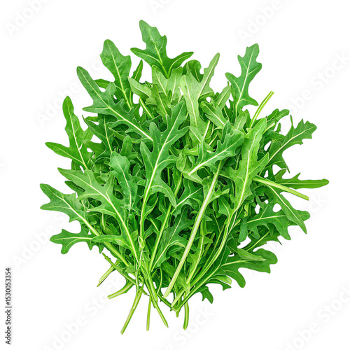 fresh rocket salad ingredient isolated fresh arugula leaves isolated, organic rocket salad ingredient, healthy green vegetable organic arugula for healthy meals