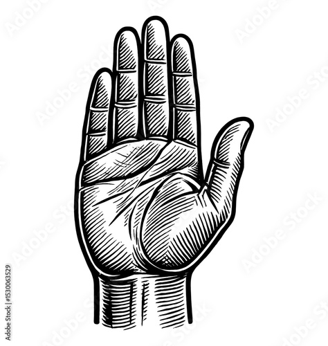Engraved Human Hand Raised in Stop Gesture with Detailed Lines and Shading