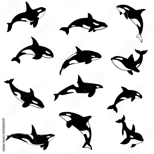 Orca