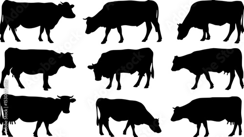 "Generate nine black cow silhouettes in different postures, each depicted from the side, arranged in a structured grid on a white background."




