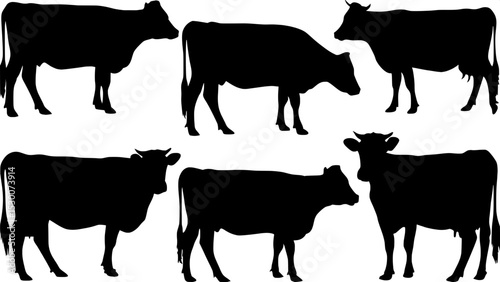 "Illustrate a simple, graphic-style composition showing black silhouettes of cows in assorted poses, laid out in a balanced grid against pure white."


