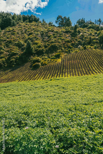 Panoramic and rural landscape with blue sky in Nemocon, Cundinamarca.
