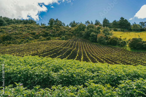 Panoramic and rural landscape with blue sky in Nemocon, Cundinamarca.