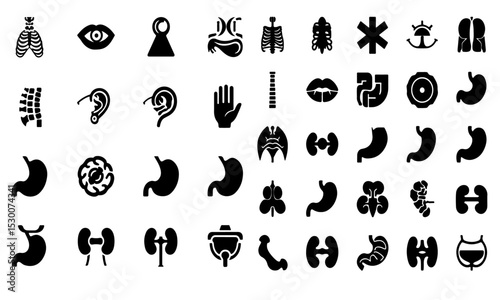 Anatomy Glyph Icon Set – Vector Silhouette of Human Body Organs & Parts
