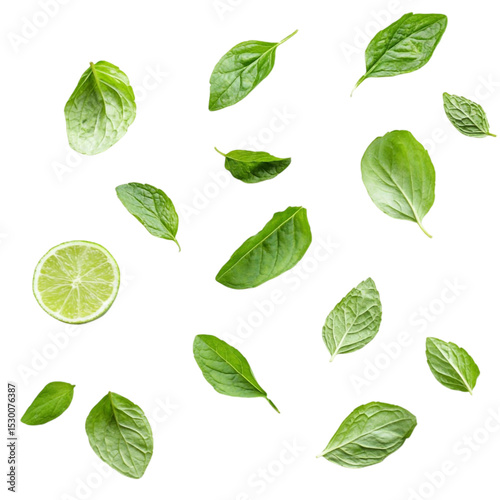 Lime slice and mint leaves vibrant green yellow and black stripes background abstract art