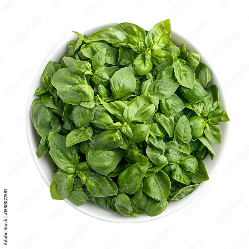 Fresh green basil leaves in a bowl healthy food ingredient Fresh green basil leaves in a bowl healthy food ingredient
