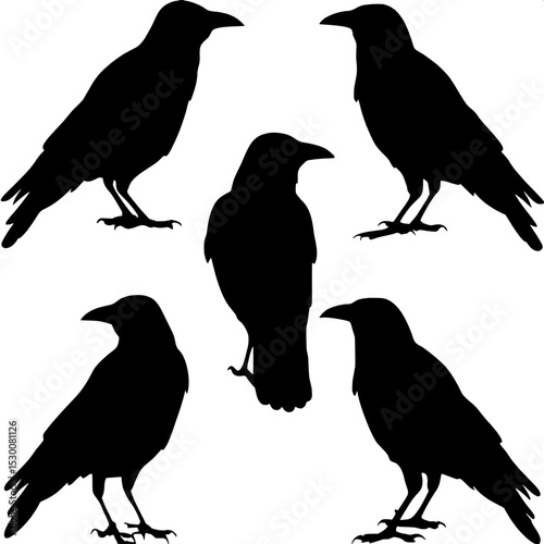 "Graphic design of five crows shown as black silhouettes with varying poses and placements, symmetrically balanced across a white background. Each crow is directionally distinct, in a minimalistic, hi