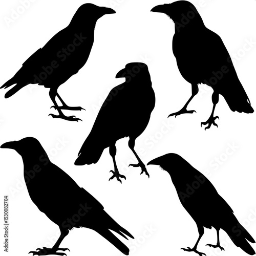 "A white-background image with five black crow figures in silhouette, positioned in a balanced, symmetrical layout. The birds vary in pose and face different directions, rendered in a stark, detail-fr