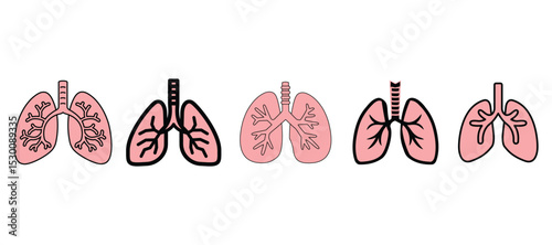 Human Lungs Anatomy Illustrations Medical Respiratory System Healthcare Graphic