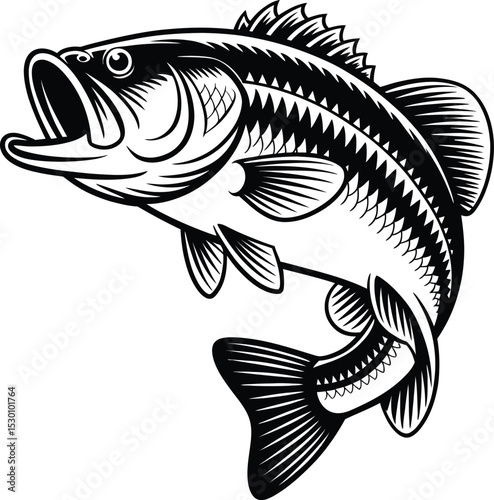 Leaping Bass Fish Vector Art - Freshwater Game Fish Illustration